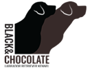 Black&Chocolate logo