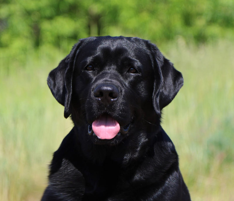 Especially Boy Black&Chocolat