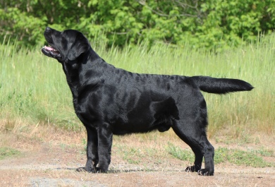 Especially Boy Black&Chocolat