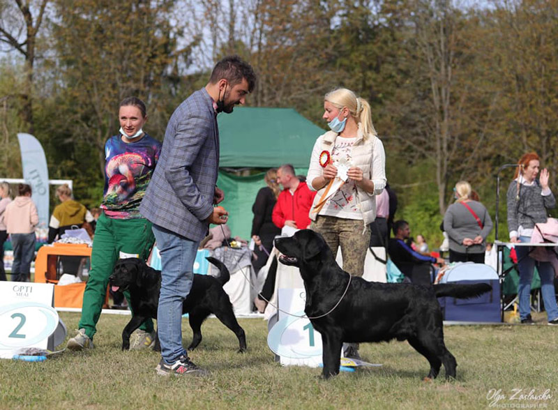 Show Man Black&Chocolate