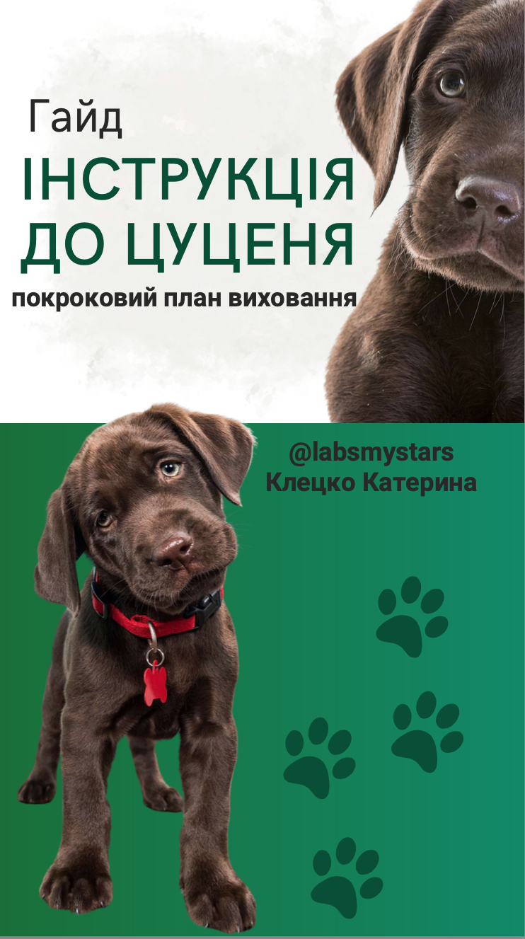 Обкладинка гайда про цуценят LABSMYSTARS