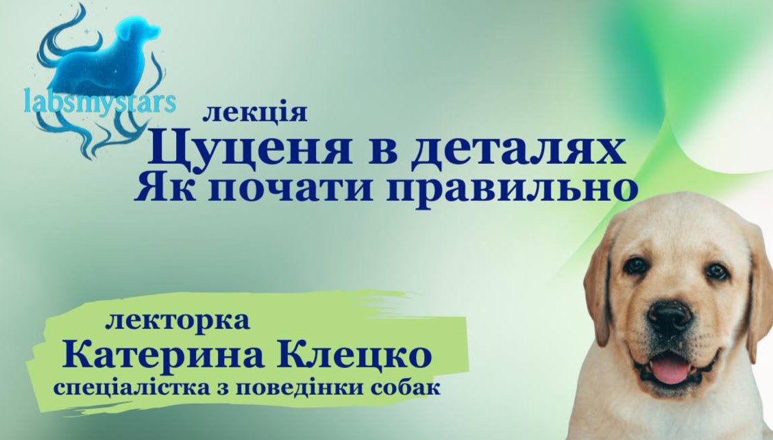 Обкладинка лекції Цуценя в деталях