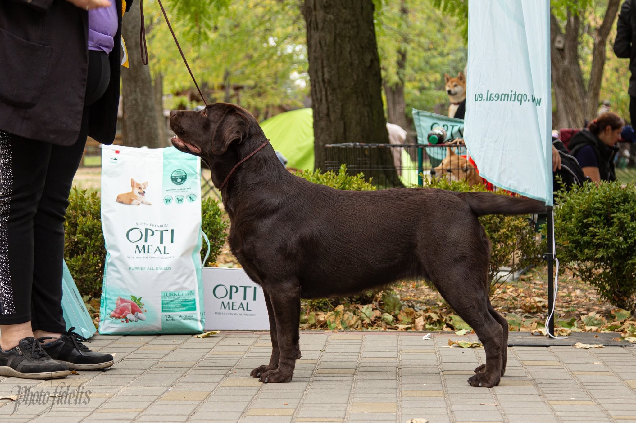 Esther Black&Chocolate