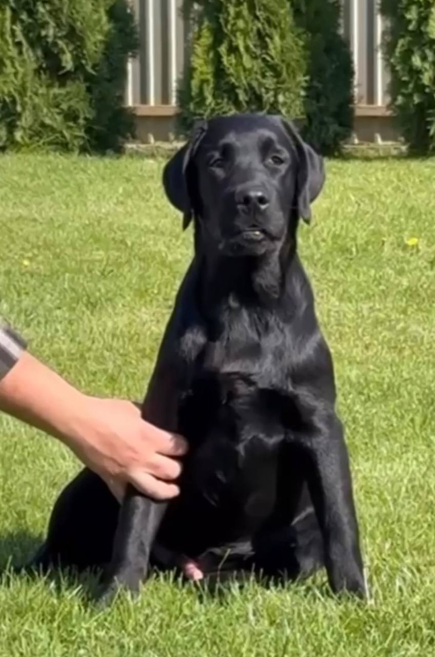 Хлопчик чорний