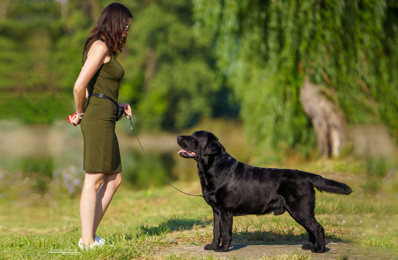 Big Vegas Black&Chocolate